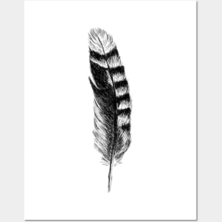 Jay Feather Print Posters and Art